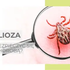 Borelioza: Do jakiego lekarza? Jasna ścieżka leczenia w Polsce