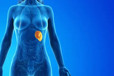 Anatomical illustration showing a translucent human torso with internal organs. The spleen, highlighted in orange, appears enlarged, indicating a potential medical condition.