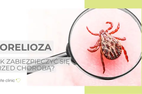 Borelioza: Do jakiego lekarza? Jasna ścieżka leczenia w Polsce