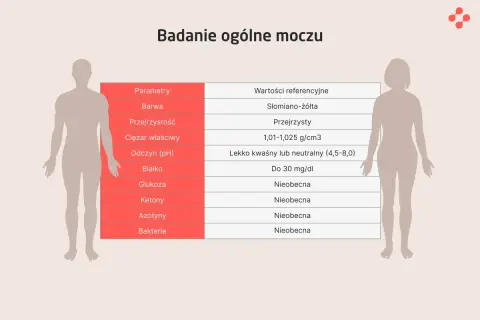 Badanie moczu: Klucz do zdrowia? Pełna interpretacja wyników