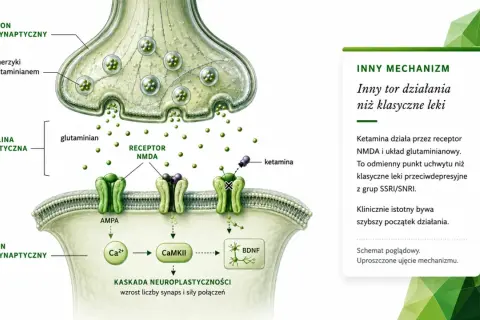 Schemat działania ketaminy na synapsę: wiąże się z receptorem NMDA, inicjując kaskadę neuroplastyczności.