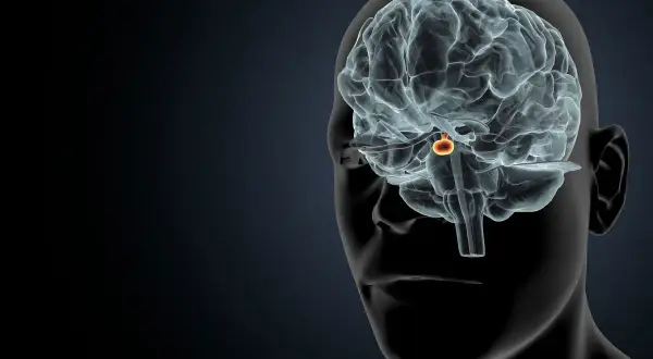 Guz przysadki a psychika: Kiedy to nie depresja, a hormon?