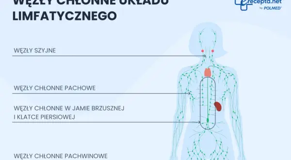 Schemat układu limfatycznego. Pokazuje rozmieszczenie węzłów chłonnych: szyjnych, pachowych, w jamie brzusznej i klatce piersiowej, pachwinowych. To ważny element odpowiedzi immunologicznej, czyli limfa co to jest.