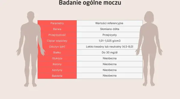 Badanie moczu: Klucz do zdrowia? Pełna interpretacja wyników