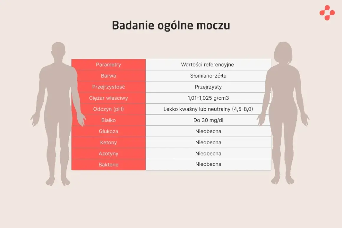 Badanie moczu: Klucz do zdrowia? Pełna interpretacja wyników