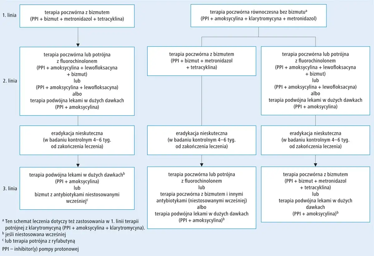 Schemat leczenia Helicobacter pylori: schemat terapii poczwórnej, potrójnej i podwójnej z bizmutem, fluorochinolonem lub amoksycyliną.