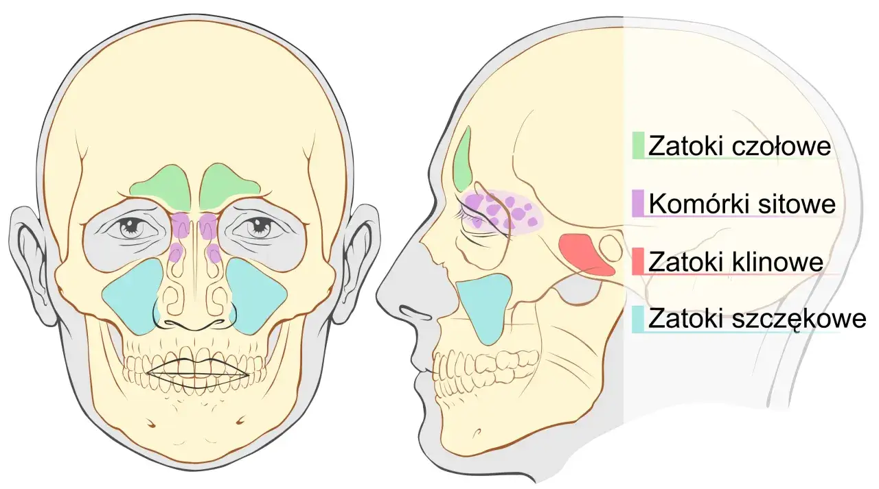 Tomografia komputerowa zatok