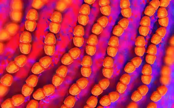Enterococcus faecalis - Kiedy leczyć, a kiedy obserwować?
