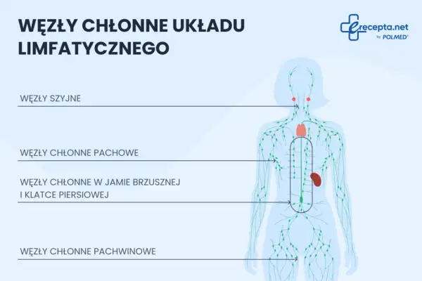 Schemat układu limfatycznego. Pokazuje rozmieszczenie węzłów chłonnych: szyjnych, pachowych, w jamie brzusznej i klatce piersiowej, pachwinowych. To ważny element odpowiedzi immunologicznej, czyli limfa co to jest.