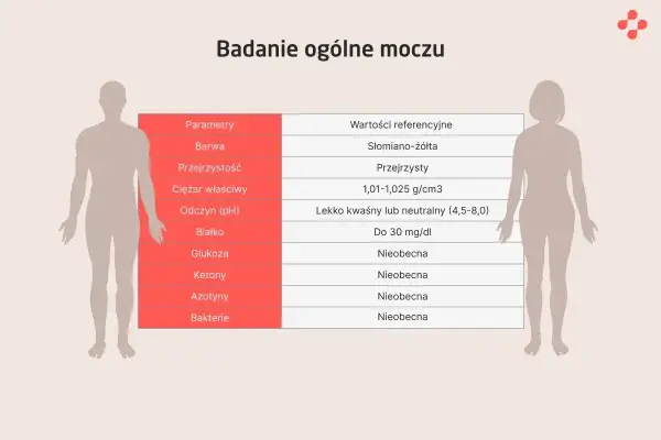 Badanie moczu: Klucz do zdrowia? Pełna interpretacja wyników